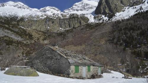 73A28731-0556-463D-81F7-1569EE92AFF1