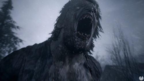 0080234F-ECF1-402D-B4F6-8E018BDF9FF0