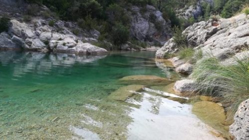 44AA1D2C-BA8E-458D-BE15-7C9CB5278F92