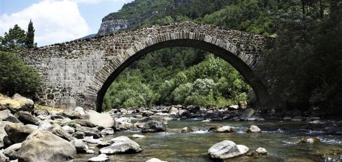 B7CF1D95-0194-49BB-A6E8-AC8D13C895BD