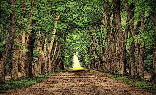 DA016C61-A3EA-4B2C-BEF7-433637418E09