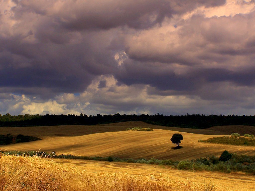 0C018A3E-A4AA-48DD-8383-CB41DB369F89