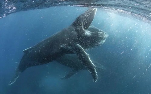 12B3F6D5-4DCC-410C-85A0-235F8B032CE8