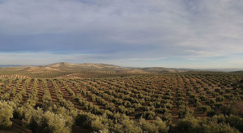 350C3DD8-A52C-4D55-9F79-E3A38906CFEF