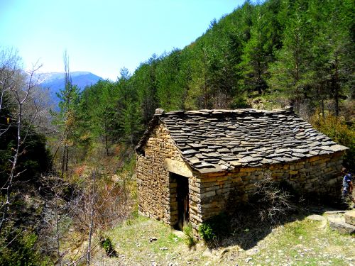 651B0A5E-CC96-40DC-8CD0-63ABCCEE118C