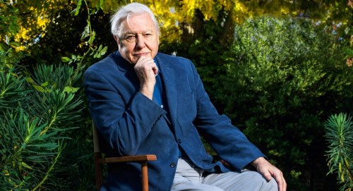 D979E41D-8BF1-4CF8-9138-600C0F616E8D