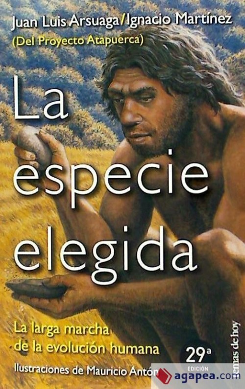 53185B41-521F-432A-8BD6-0A086C3567EA