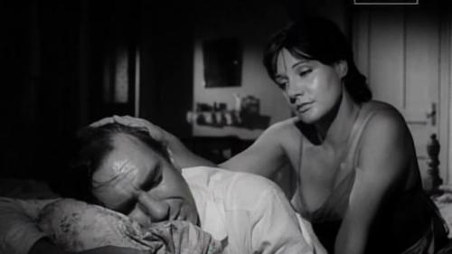 9DD495E9-2C18-4571-A675-BA93E65B36EA