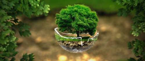 0224B148-5AED-4C27-B1E5-40D209333091