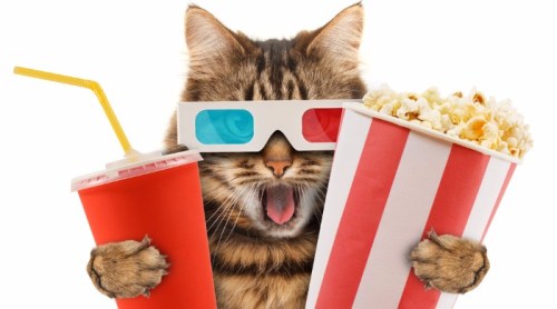 472B6059-C412-413E-9918-237F4DDBA64C