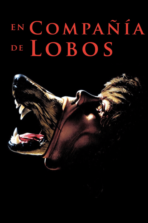 24B65737-D4D7-4EDA-AC77-D81A39273565