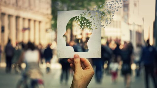 CF8F8F27-B3E1-470D-BCB0-1D817D938A9D